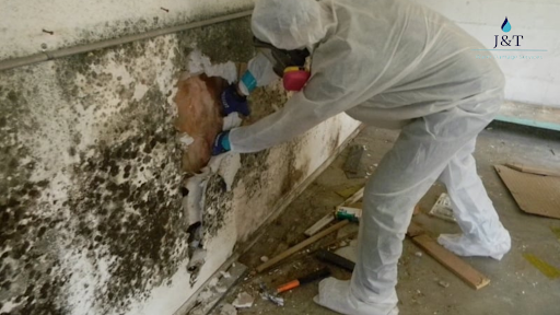 mold remediation