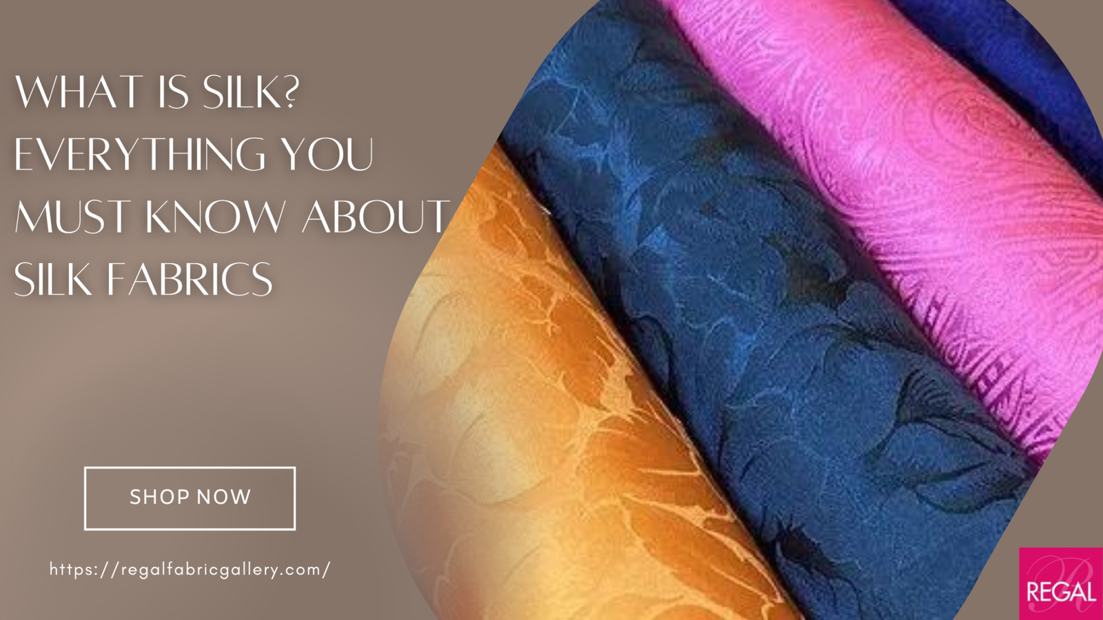 What is Silk? Everything You Must Know About Silk Fabrics