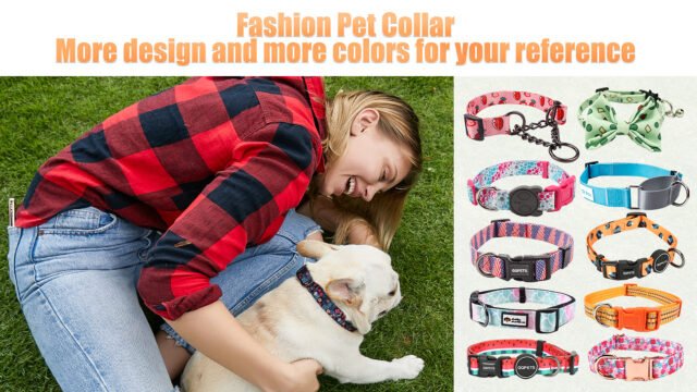 Luxury custom dog collar