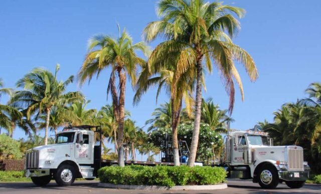 Why West Palm Beach ResidentsWatch Out for Commercial Trucks