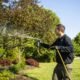 Professional Tree and Lawn Care